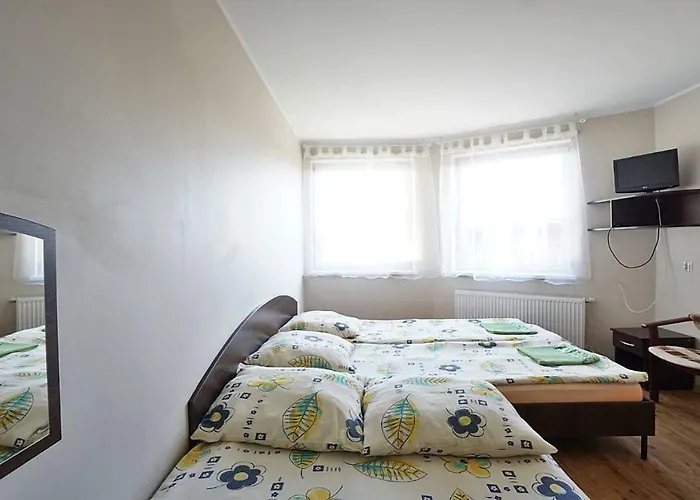 Bed & Breakfast Biale Piaski I Białogóra